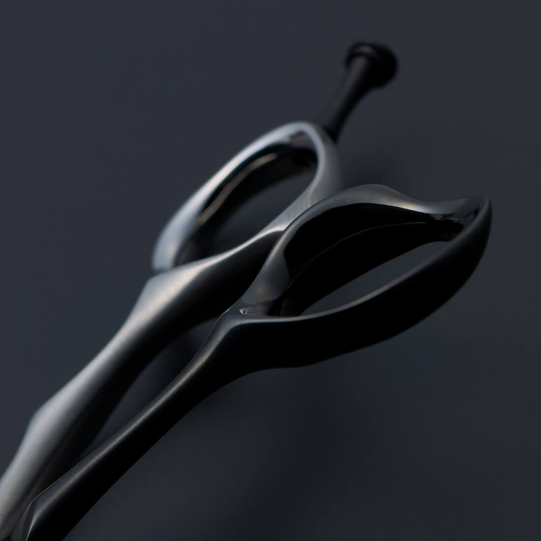 Winning Ⅱ monochrome- Mizutani Hair Scissors